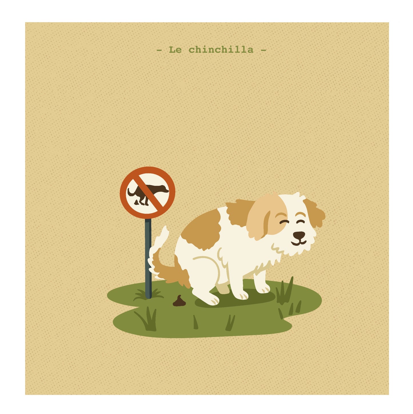 Le chinchilla