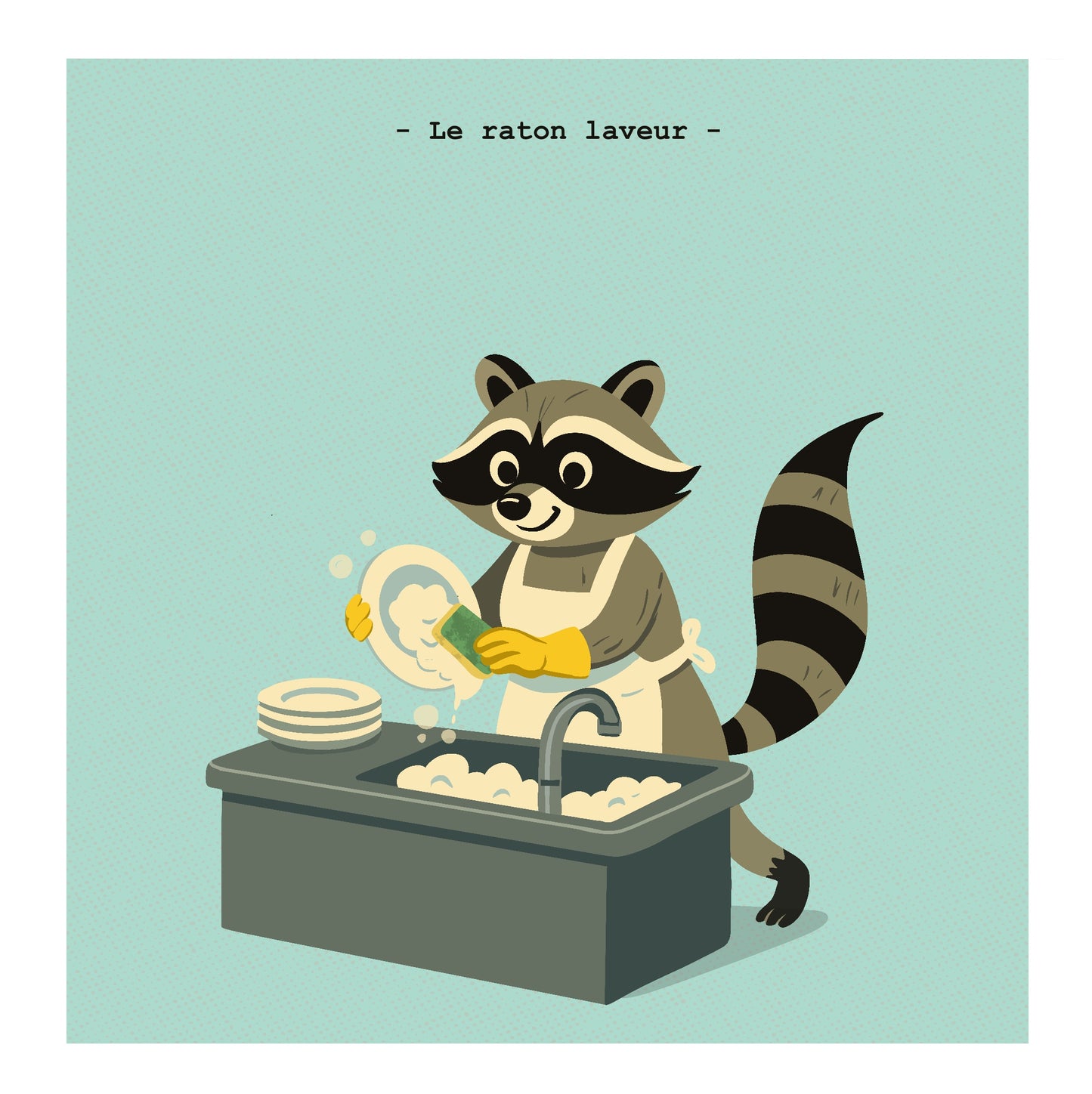 Le raton laveur