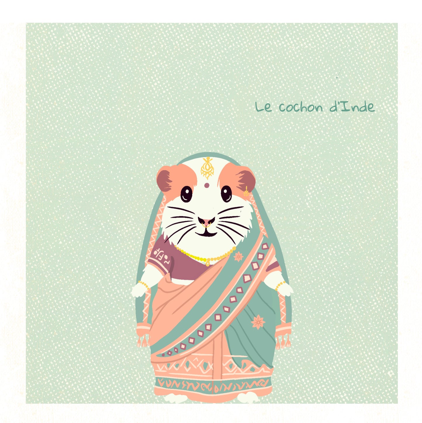 Le cochon d'Inde