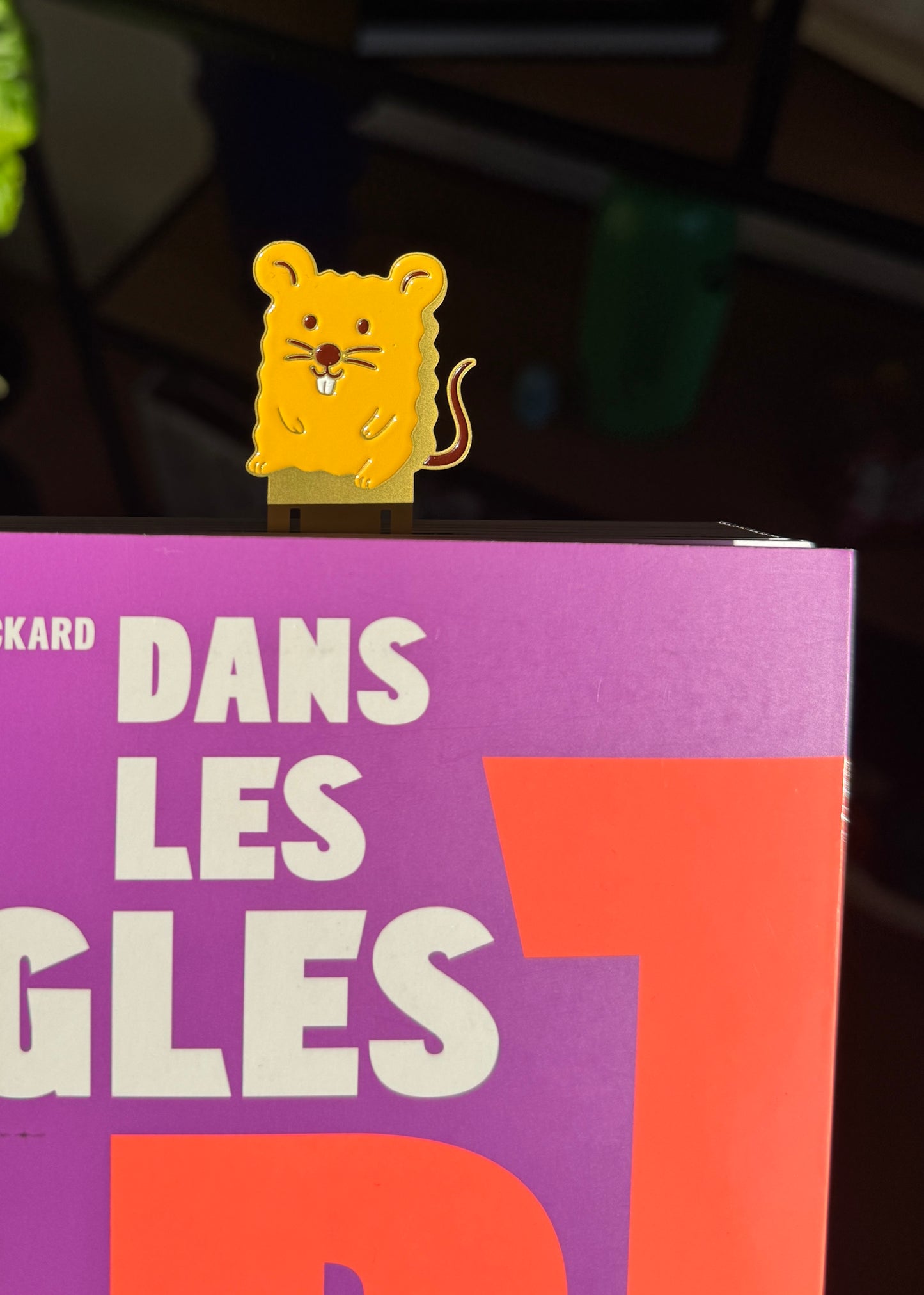 Le Coffret du Rat de Bibliothèque