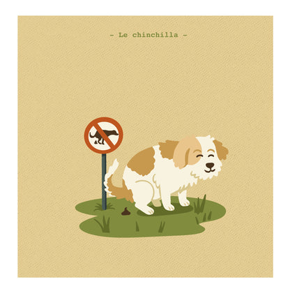 Le chinchilla