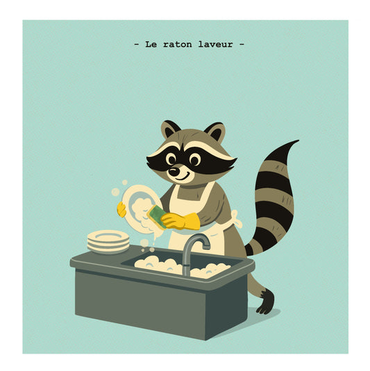 Le raton laveur