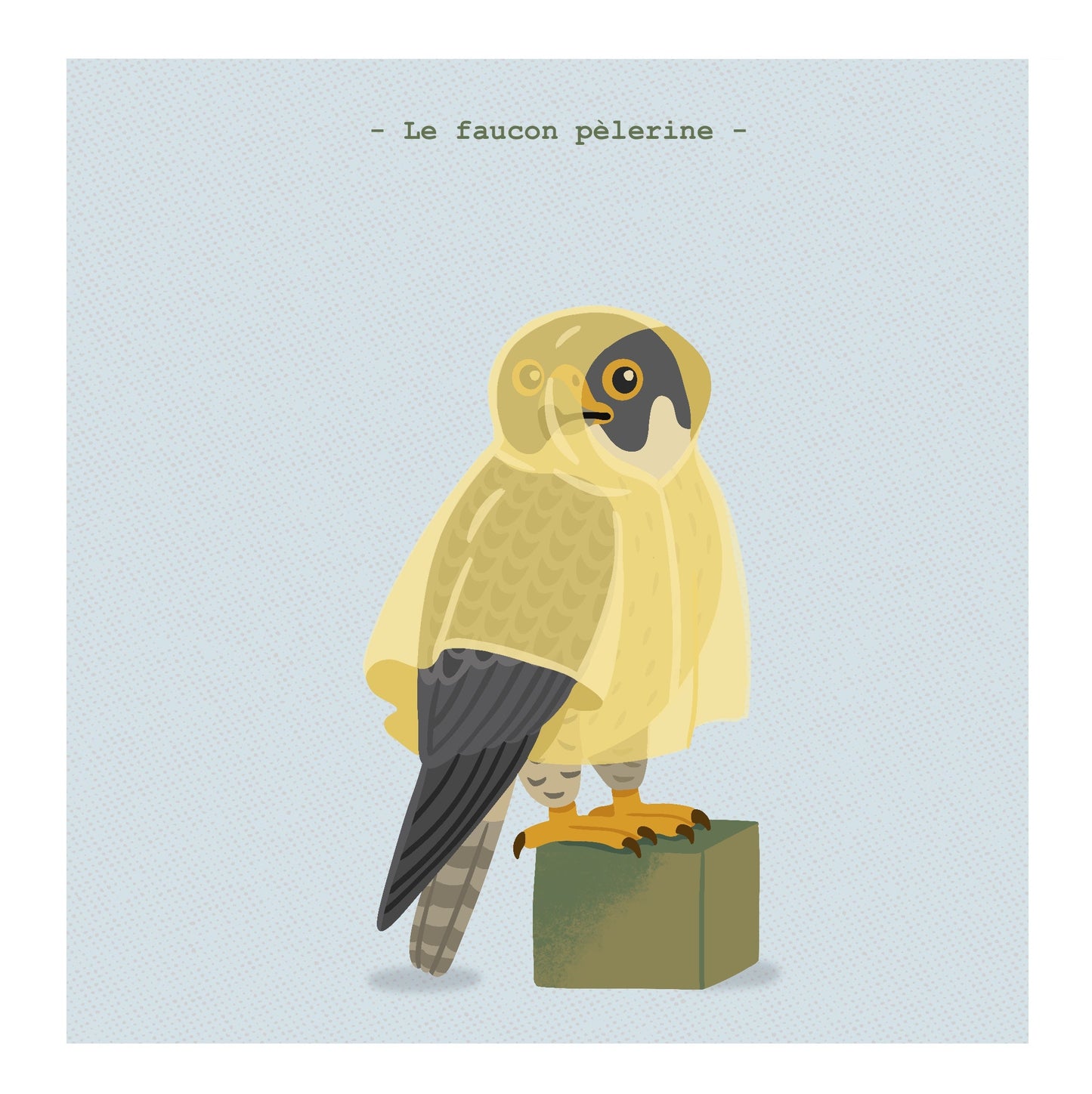 Souvent achetés ensembles