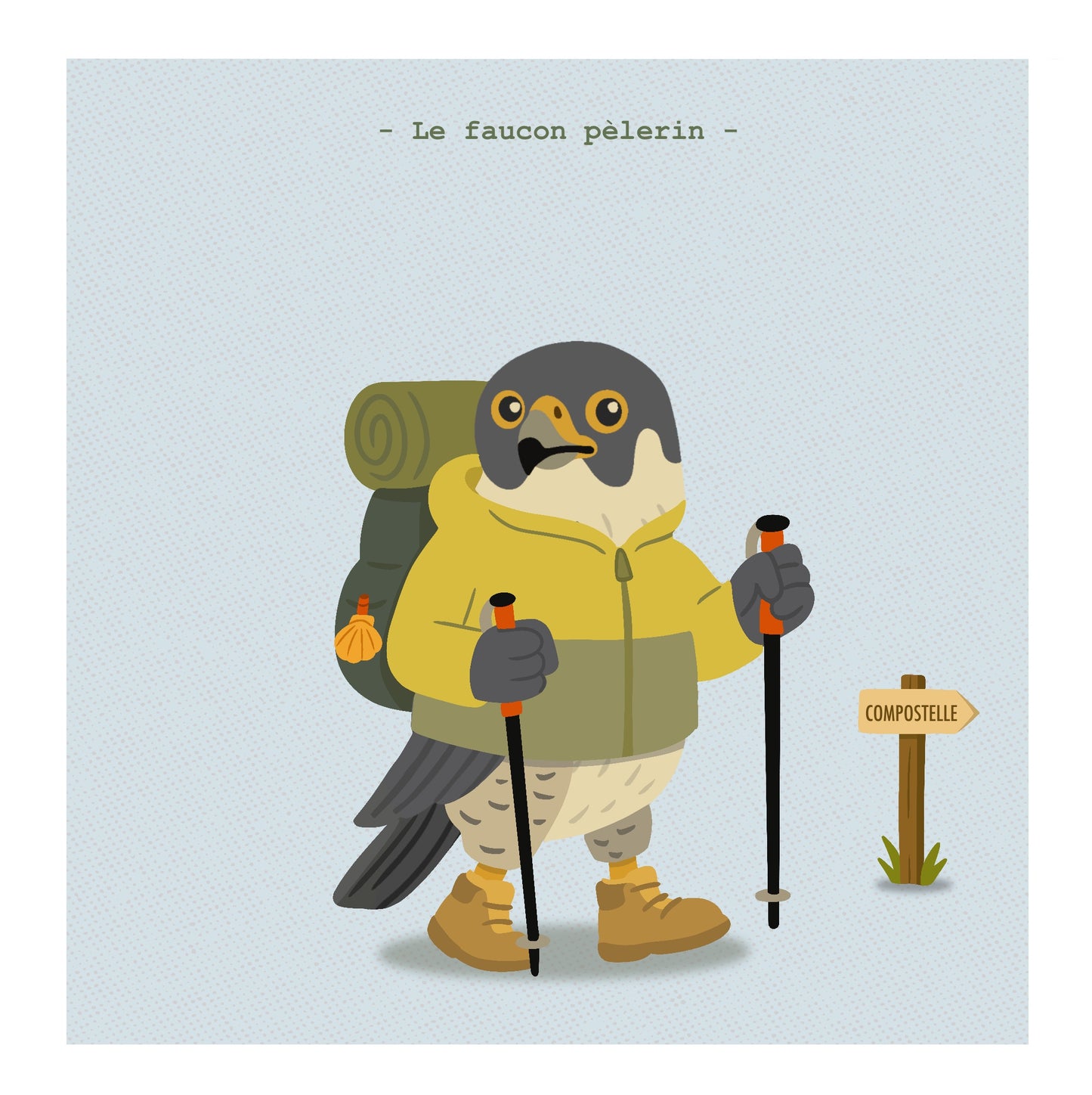 Le faucon pèlerin