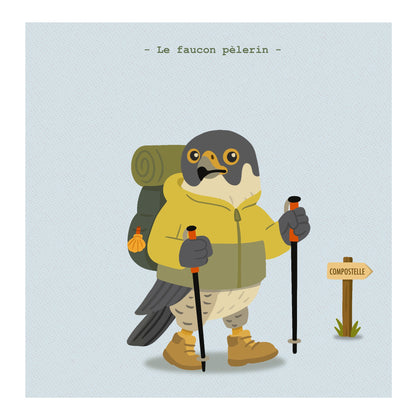 Le faucon pèlerin
